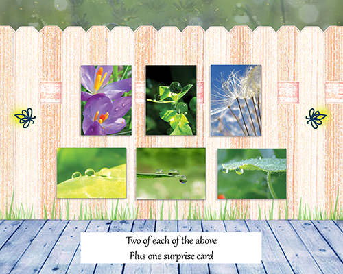 Poetry of Nature II - Greeting Card Collection - front and back view of box set